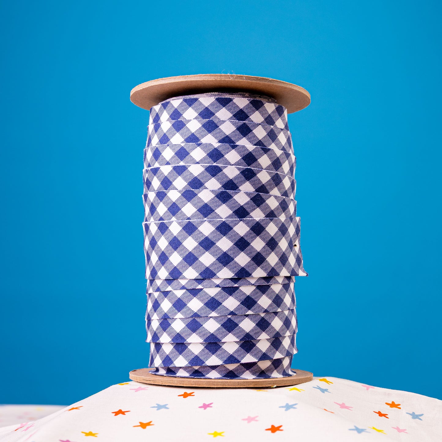 Bias Binding #13 - Navy Gingham