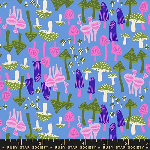 Ruby Star Society - Hello Alice Lindley Blue RS2124 13 by Sarah Watts