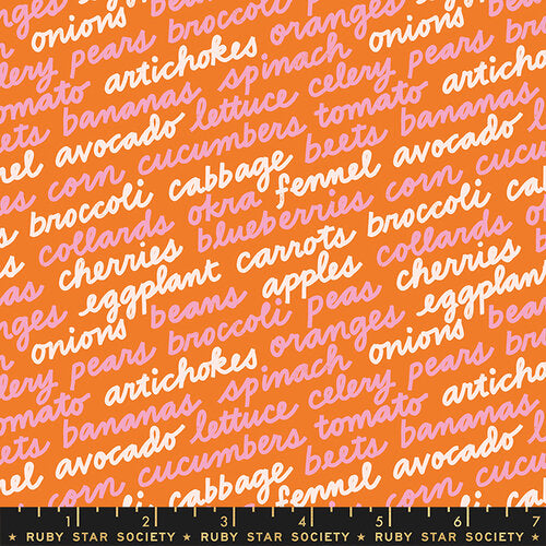 Food Group Burnt Orange RS5042 13 by Ruby Star Society
