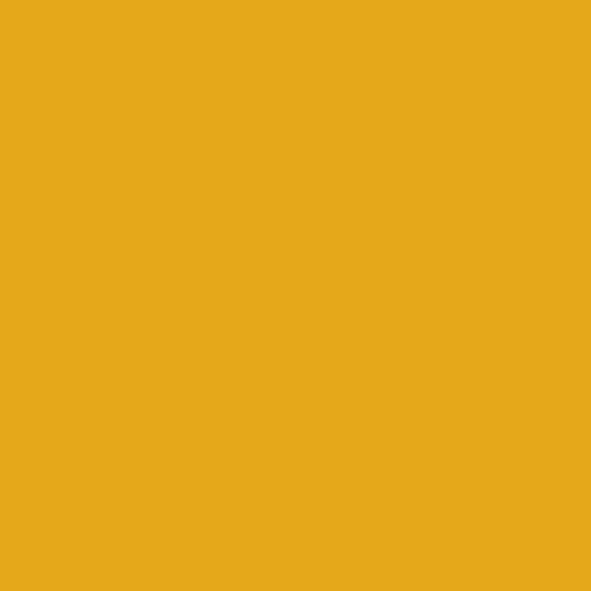 Solids Goldenrod for Ruby Star Society RS550014