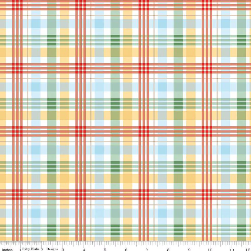Winnie the Pooh Plaid Multi - by Echo Park Paper Co. for Riley Blake