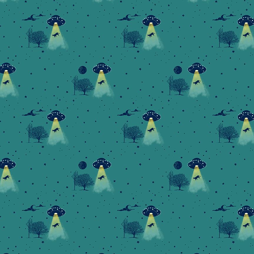 Meowter Space | Dear Stella DPJ3680 SPRUCE