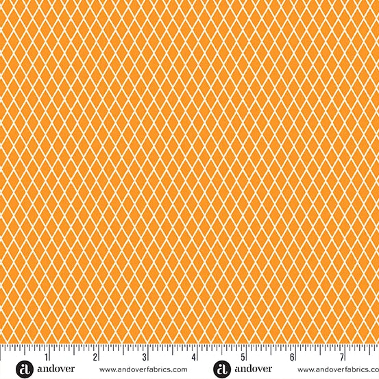 Prismatic - Fishnet Signal by Libs Elliott for Andover A-10440-O
