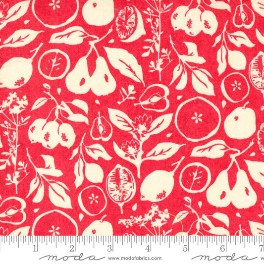 CHRISTMAS SALE: Fruit Loop Rhubarb 30732 14 by BasicGrey