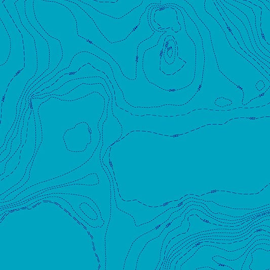 CHRISTMAS SALE: Wildflowers - A-556-T1 by Alison Glass