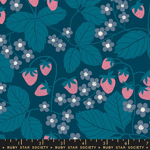 Ruby Star Society - Reimagined Landscapes Galaxy RS6054 16 by Jen Hewett