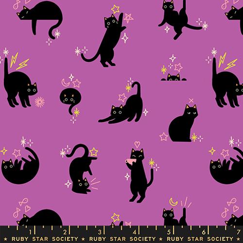 Freaky Familiars Witchy RS5193 13 by Ruby Star Society