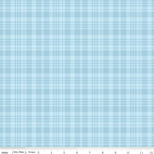 Winnie the Pooh Plaid Blue - by Echo Park Paper Co. for Riley Blake