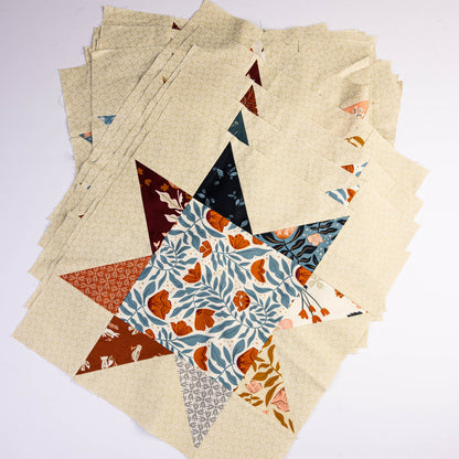DESTASH: Star Quilt Blocks made by Miss Kate