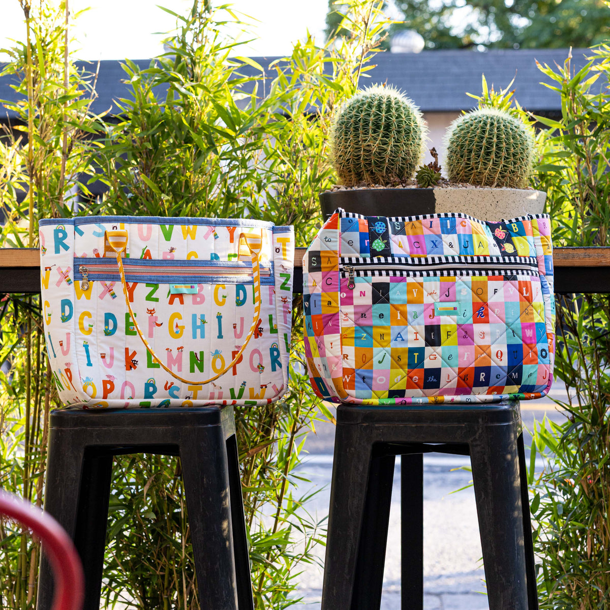 The Lesson Plan Bag Kit