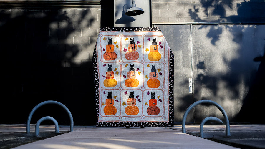 Black Cats Pumpkin Patch Quilt Kit