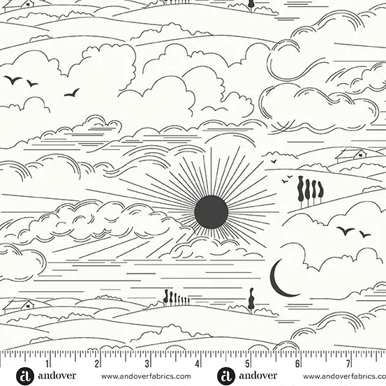 Sun Print Whisper Dwell in Zebra by Alison Glass K