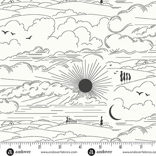 Sun Print Whisper Dwell in Zebra by Alison Glass K