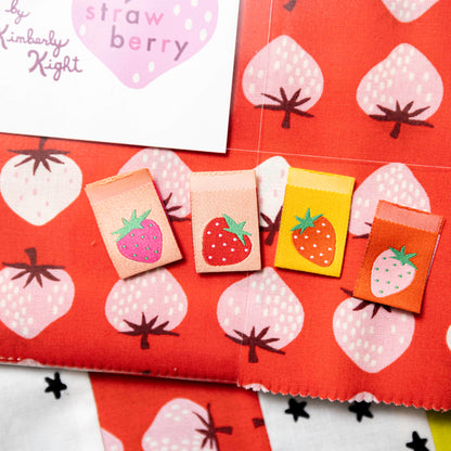 Strawberry Rainbow Quilt Kit