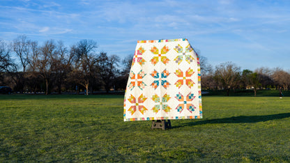 Sample Sale: Starburst Finished Quilt