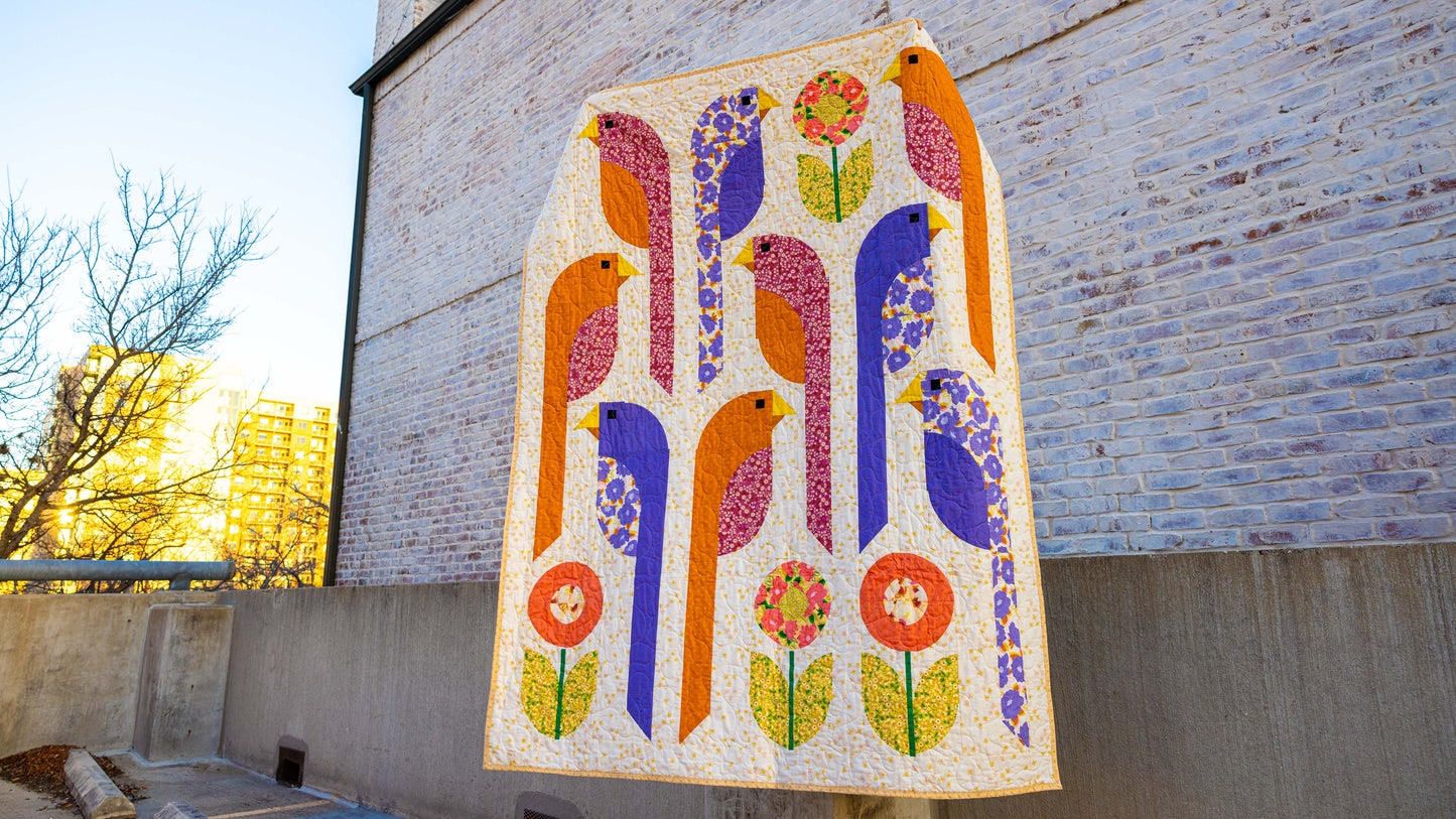 Apparrotly It's A Party Quilt Kit