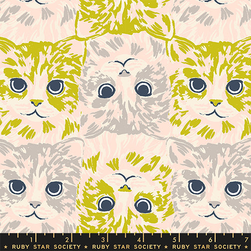 Oops All Cats Pistachio by Sarah Watts for Ruby Star Society RS2148 11