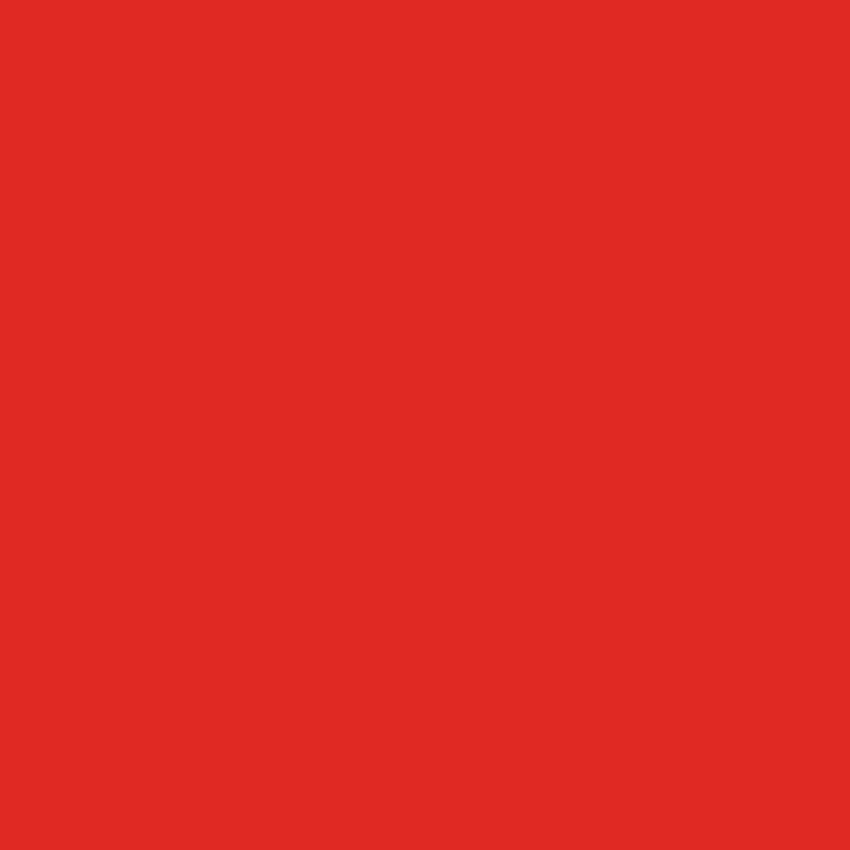 Solids Ladybug for Ruby Star Society RS550029
