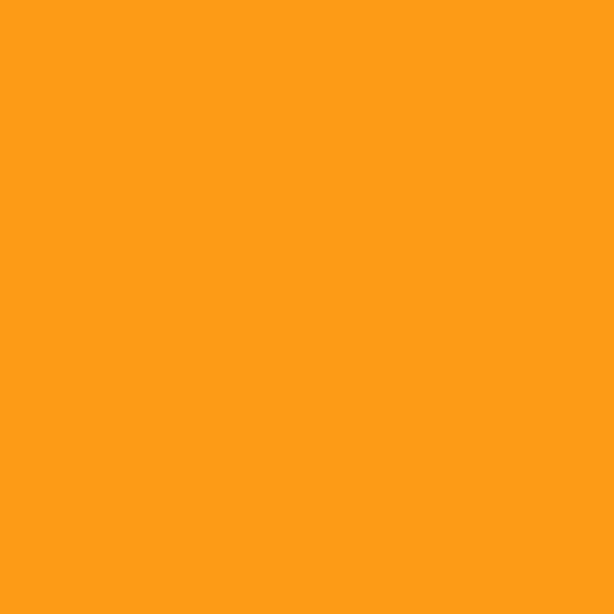 Solids Cheddar for Ruby Star Society RS550054