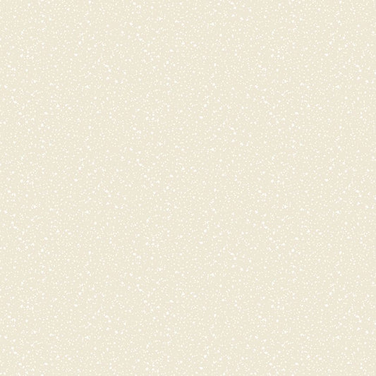 Stardust Birch | Dear Stella