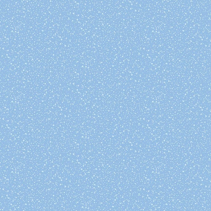 Stardust Nore | Dear Stella