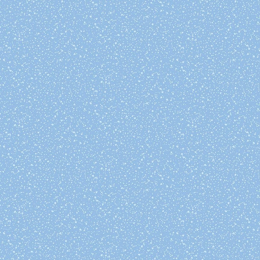 Stardust Nore | Dear Stella
