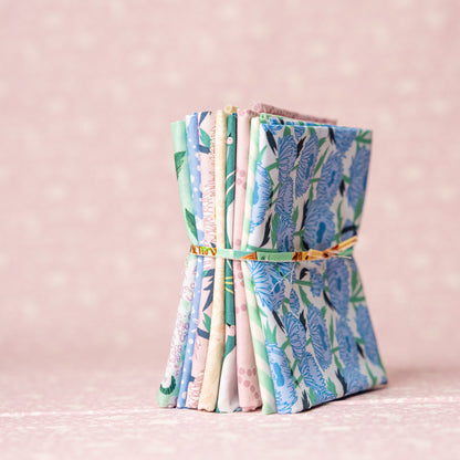 Debut FQ Bundle 8 Pc FQ Bundle