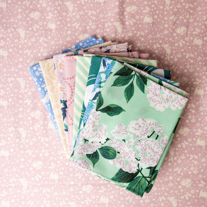 Debut FQ Bundle 8 Pc FQ Bundle