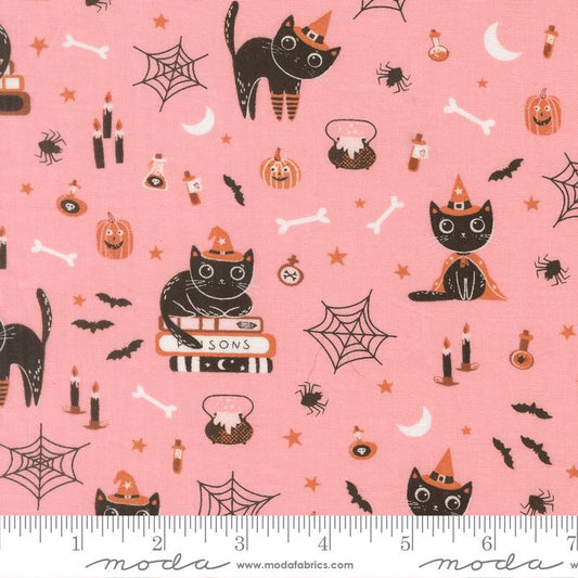 Purrs and Boos - Candy by Elena Amo for Moda 39060 13
