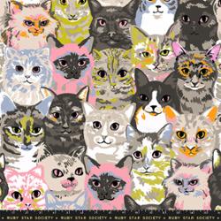 108" Wideback Oops All Cats Sandbox by Sarah Watts for Ruby Star Society