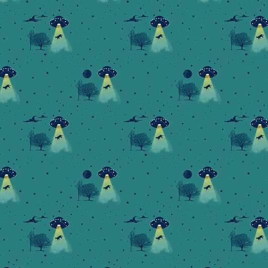 Meowter Space | Dear Stella DPJ3680 SPRUCE