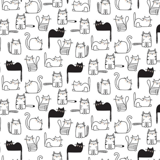 Cats Nap Time by Timeless Treasures CAT-CD2571
