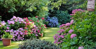 Secret Garden Secret Bundle