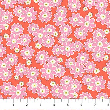 Daisy Crush | Dear Daisy in Clementine 91284-56