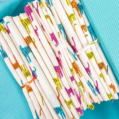 Catnap Bundle - Tigers