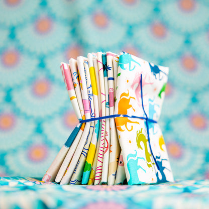 Lover 11 Pc FQ Bundle