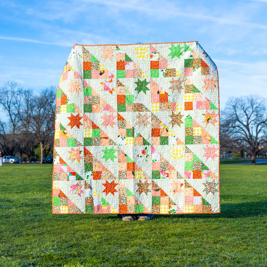 Sample Sale: Picnic Quilt Finished Quilt