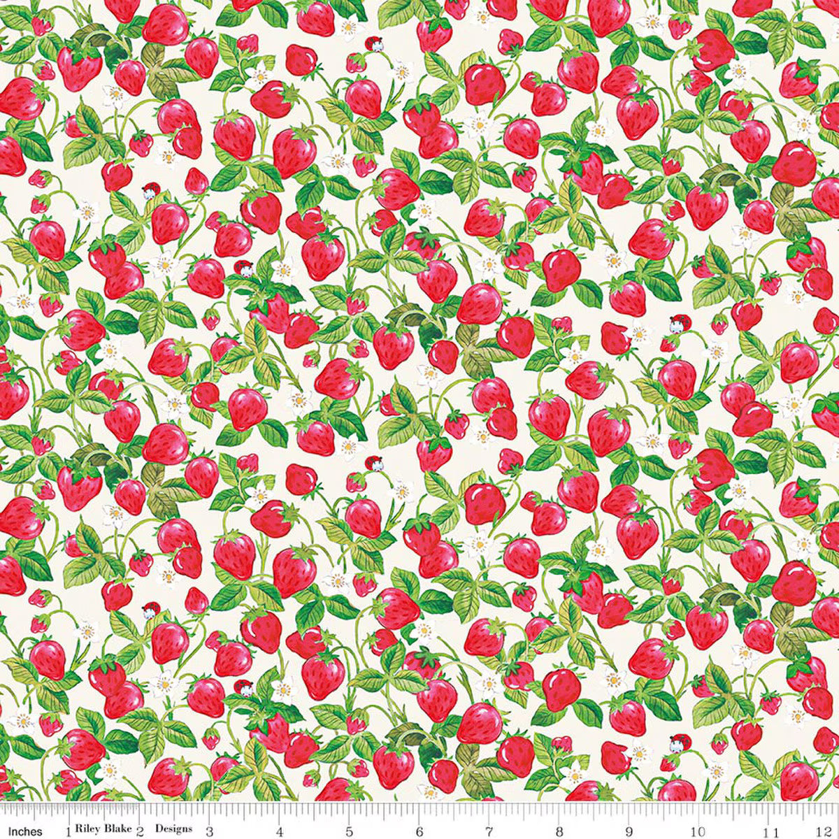 The World of Strawberry Shortcake Strawberries Cream by Riley Blake for Riley Blake C18564-CREAM