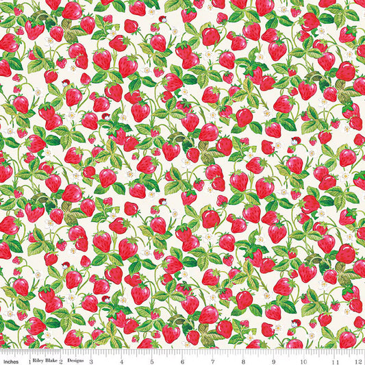 The World of Strawberry Shortcake Strawberries Cream by Riley Blake for Riley Blake C18564-CREAM