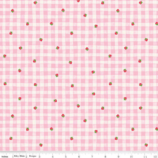 The World of Strawberry Shortcake Gingham Pink by Riley Blake for Riley Blake C18562-PINK