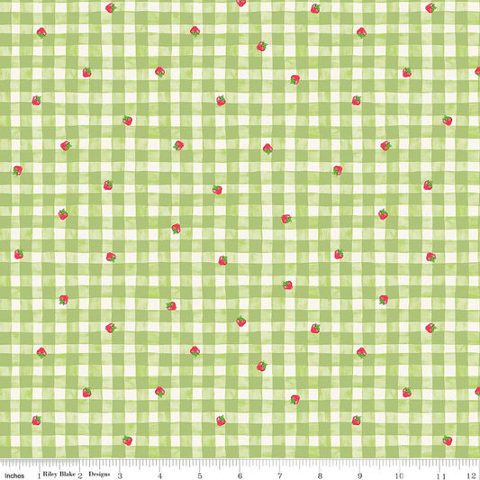 The World of Strawberry Shortcake Gingham Green by Riley Blake for Riley Blake C18562-GREEN