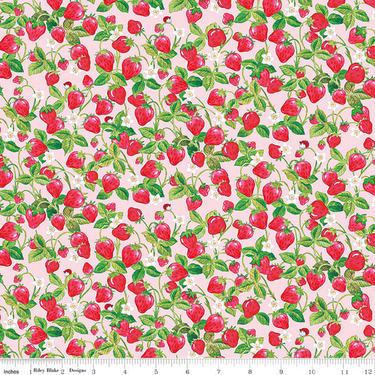The World of Strawberry Shortcake Strawberries Pink by Riley Blake for Riley Blake C18564-PINK
