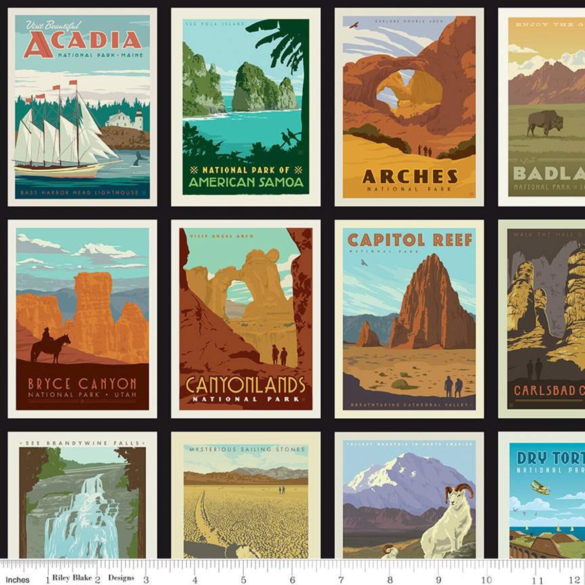 National Parks Posters on Black by Riley Blake C8780