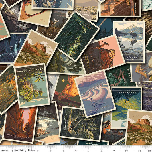 National Parks Postcard Toss Multi CD13290